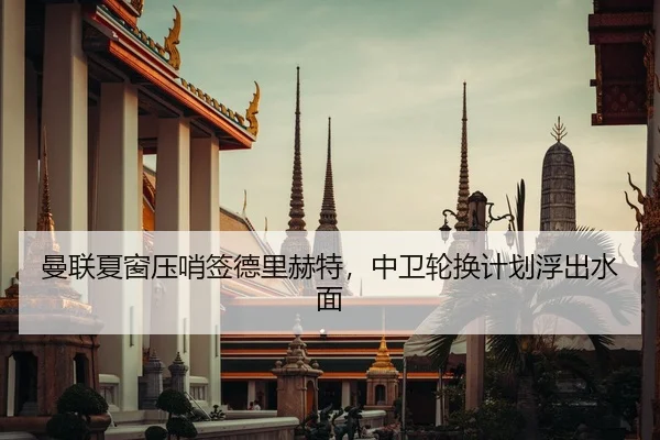 曼联夏窗压哨签德里赫特，中卫轮换计划浮出水面