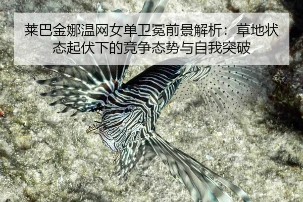 lai-ba-jin-na-wen-wang-nv-dan-wei-mian-qian-jing-jie-xi-cao-di-zhuang-tai-qi-fu-xia-de-jing-zheng-tai-shi-yu-zi-wo-tu-po-2-106.jpg