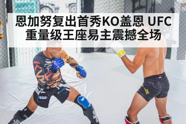 恩加努复出首秀KO盖恩 UFC重量级王座易主震撼全场